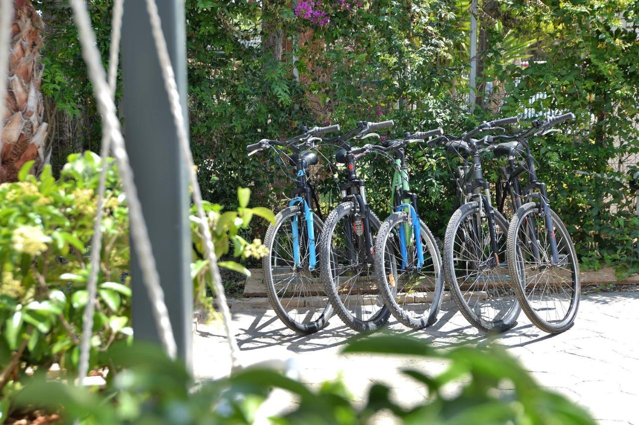 Alekos Luxury Suites Free 24H Transportation From - To Airport Artemida  Exteriér fotografie